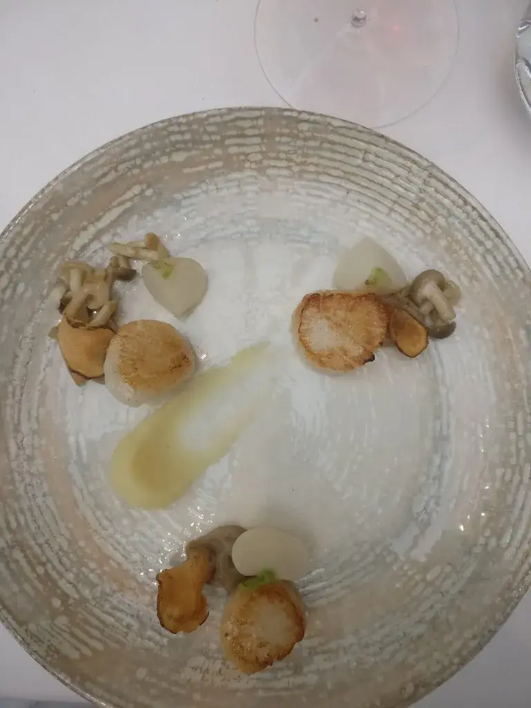 Benedikt Van Parijs_Lammekeshoeve_Grimbergen_reseña