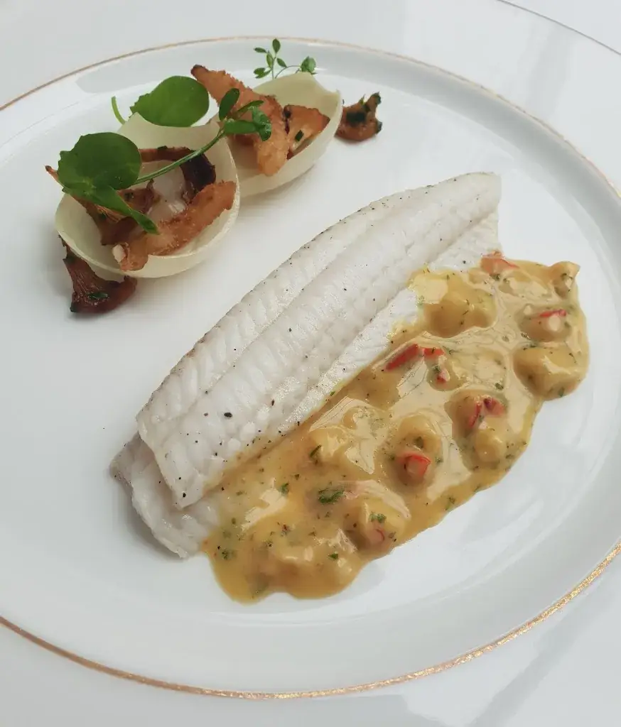 Hugo Thienpont_Kelderman_Aalst_avis