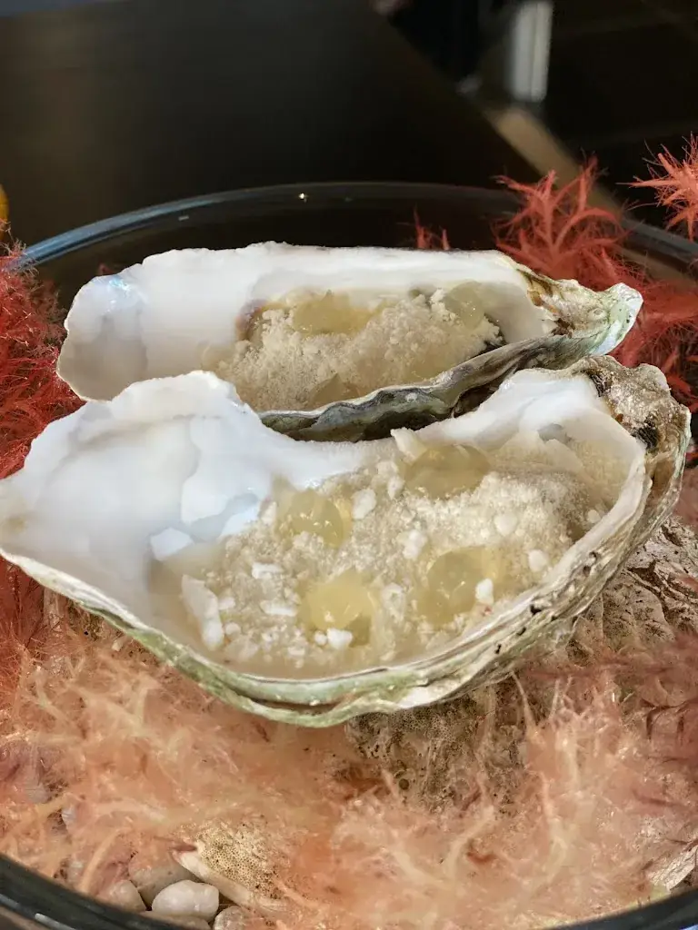 Bruno Braes_De Kwizien_Hasselt_review