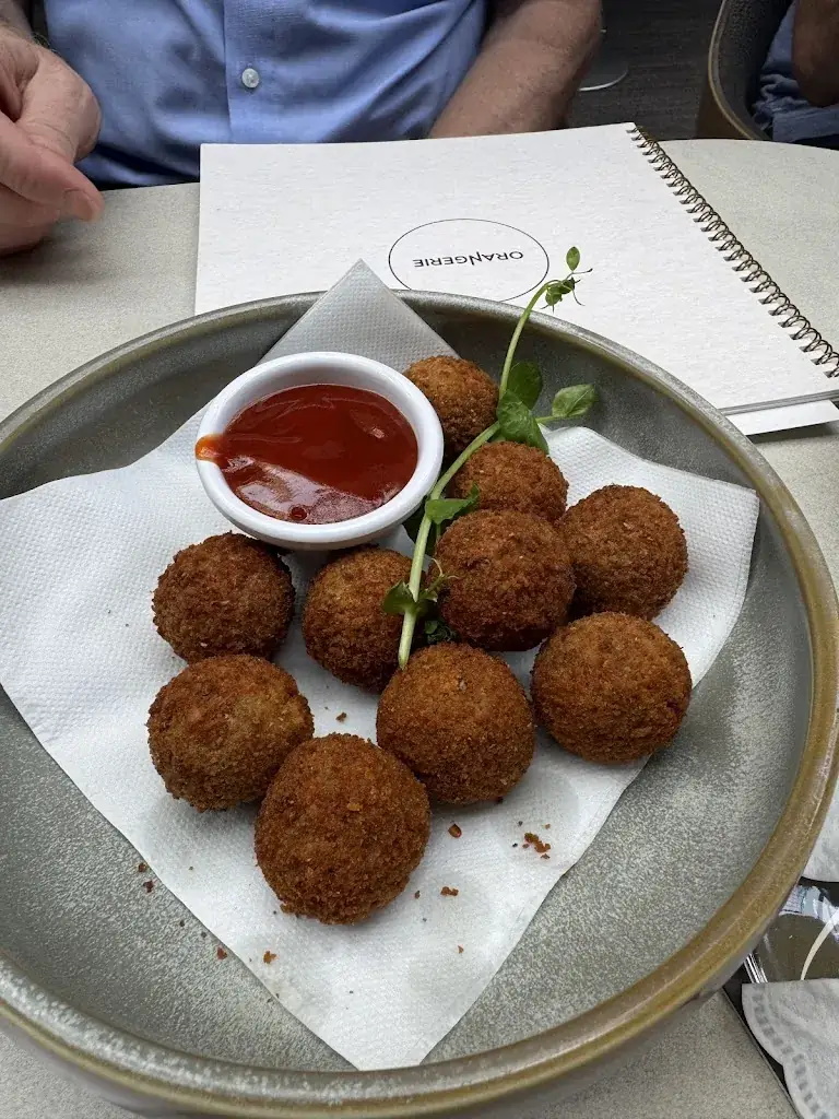 Lech Rynkevic_De Orangerie_Hasselt_Bewertung