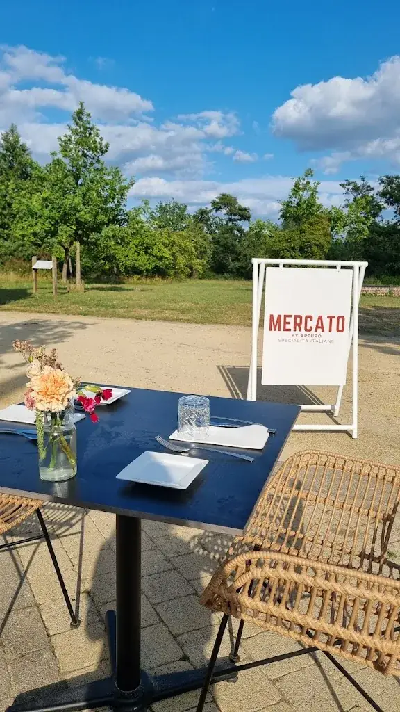 Leen Oris_Mercato_Heist-op-den-Berg_Bewertung