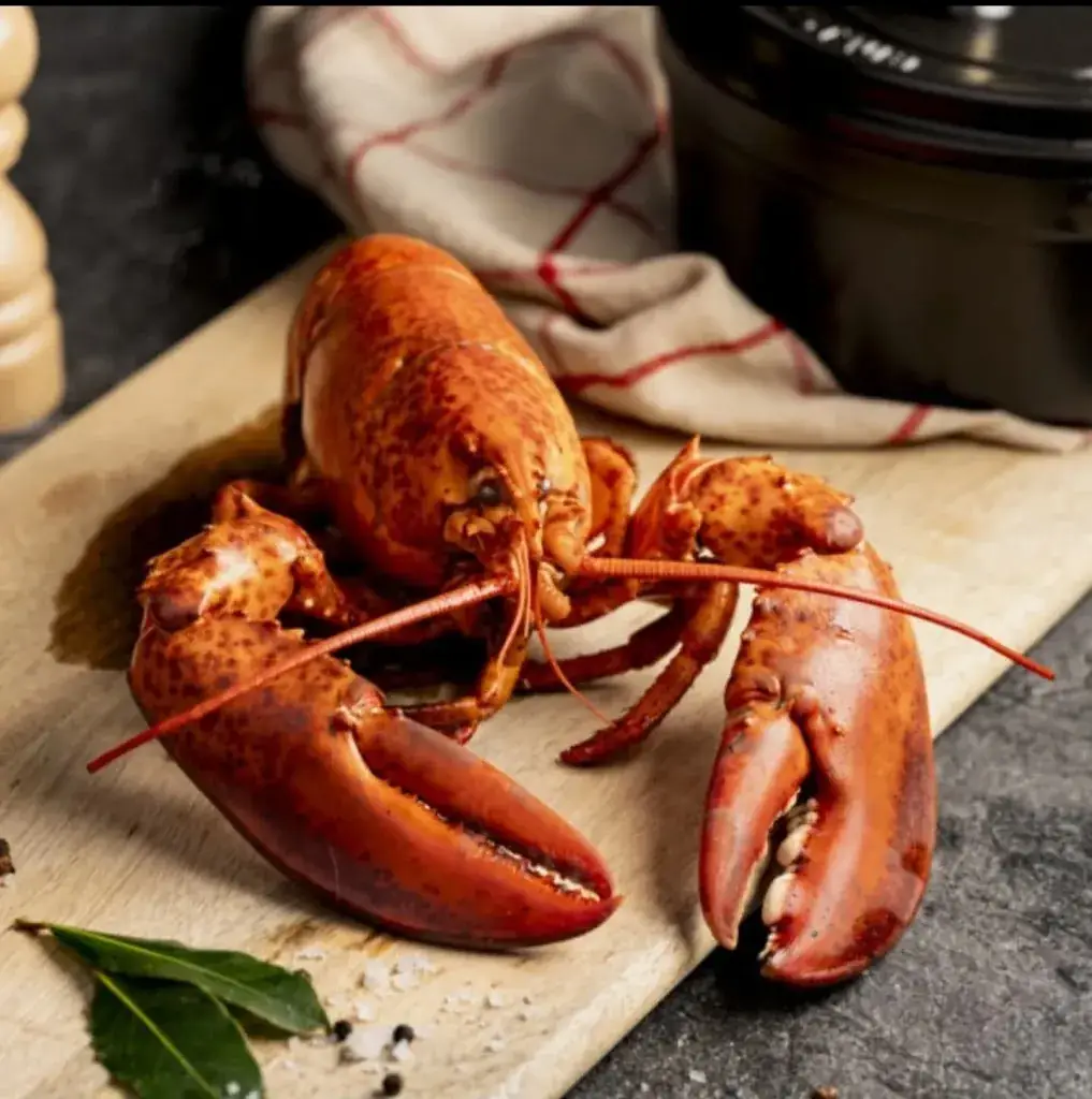 Bistro Louis Grobbendonk_Grobbendonk_slider_image_3