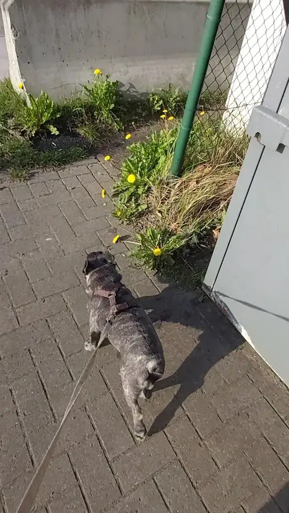 Afrit 20_Grobbendonk_slider_image_3