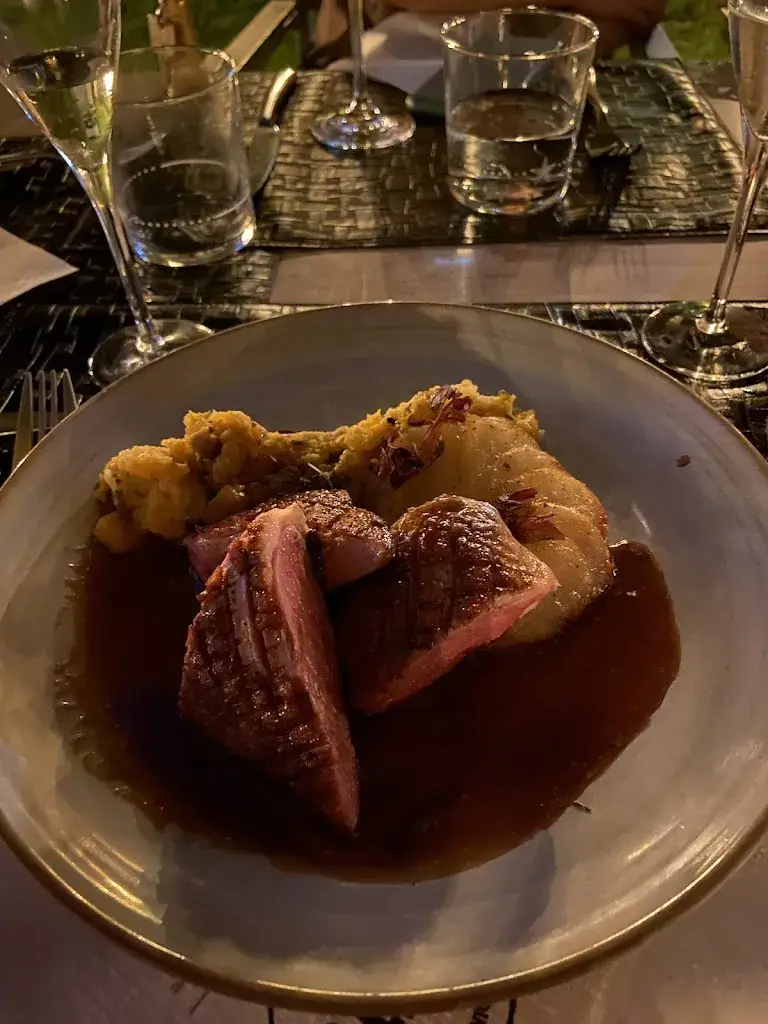 Elena Xie_Guzto_Aartselaar_review