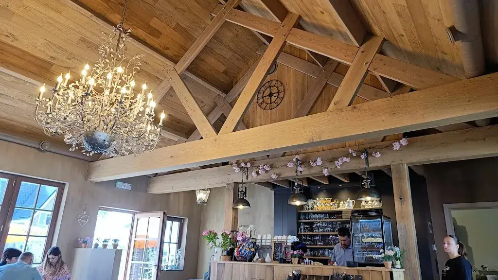 Laurentijn Huyghe_Joke's cosy house_Herzele_review