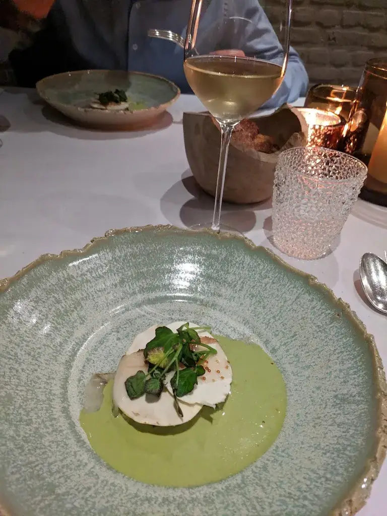 Tom Tytgat_Fidalgo_Tienen_avis