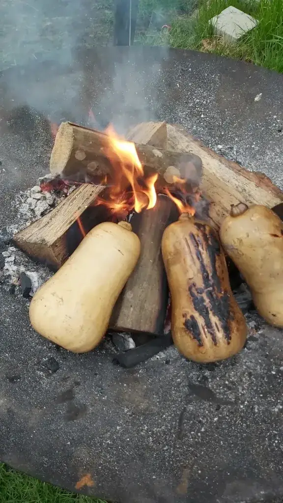 Ann Van Der Voort_Zouterover_Hoogstraten_review