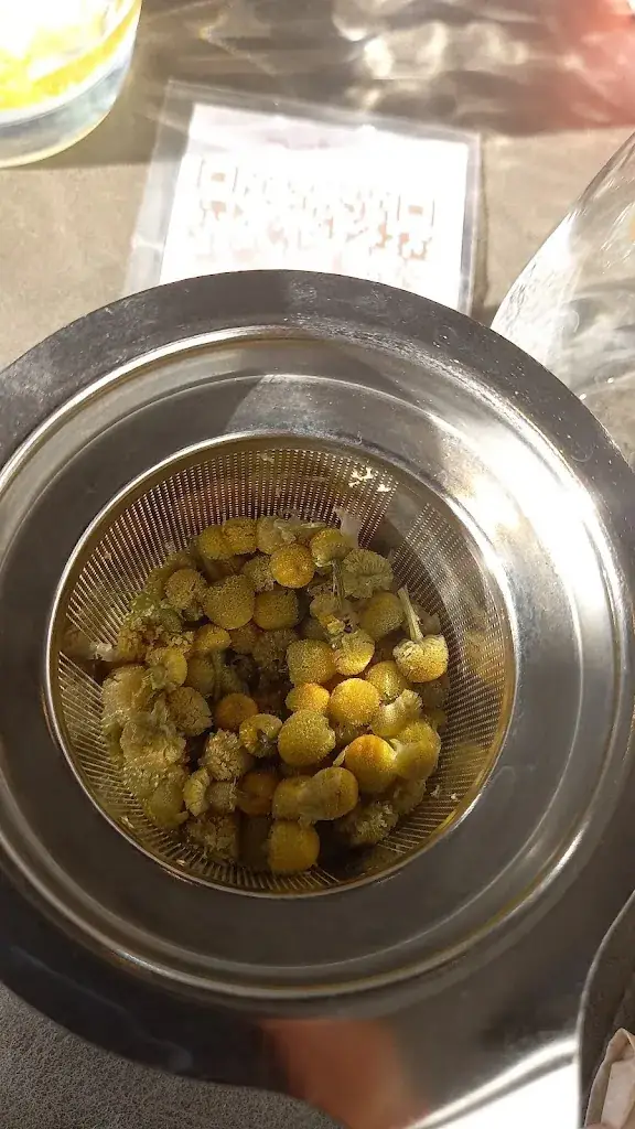 Menü_In de Maeltydt_Aalst_Bild_8