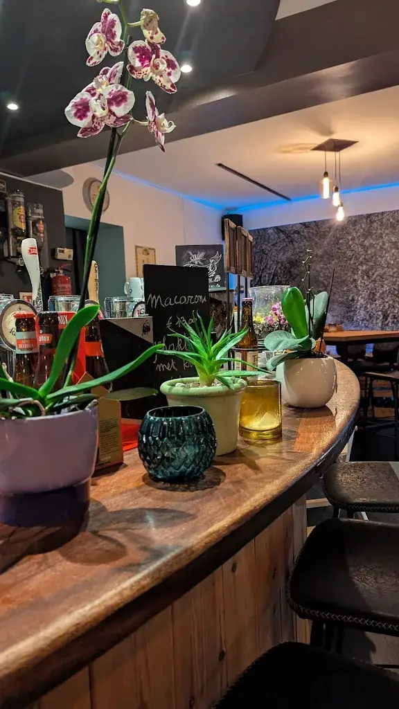 Anastasiia_Baratee_Huldenberg_avis