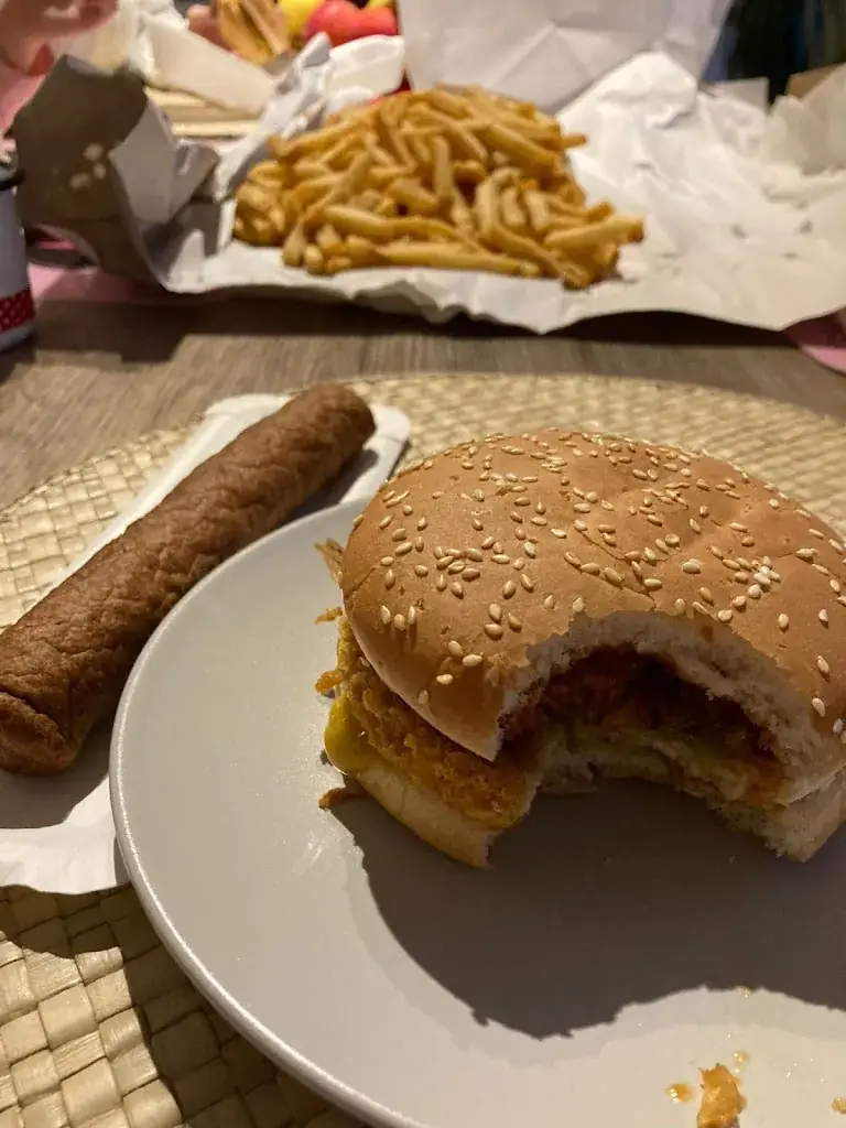 Aleksa Lakic_J&S Frituur_Holsbeek_review