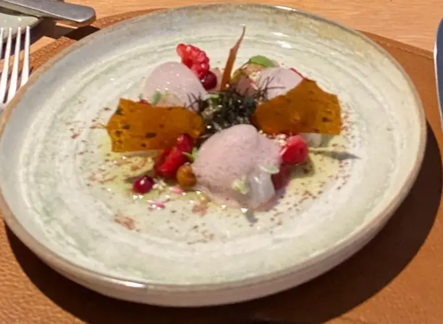 A J_Klei_Ieper_review