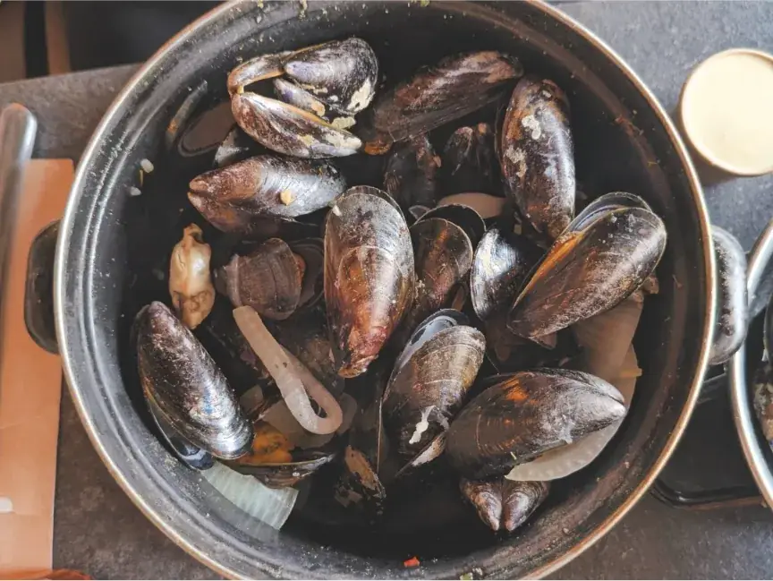 Ruben Queirós_De Trompet_Ieper_review