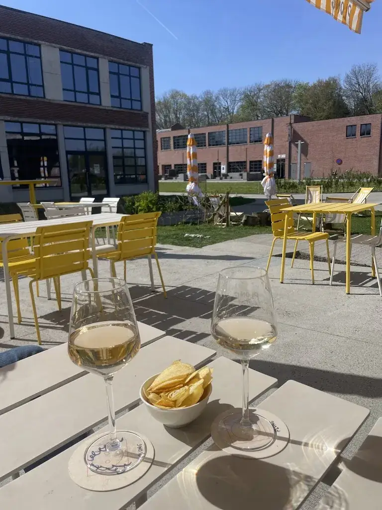 Maxime De Pooter_PLONG_Aalst_review