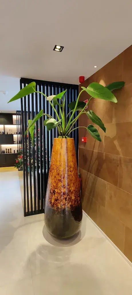 Oliver Soo_The White Oak_Kampenhout_reseña