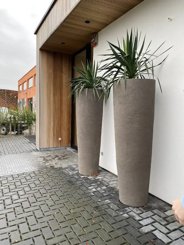 Neja Vrtovec_The White Oak_Kampenhout_reseña