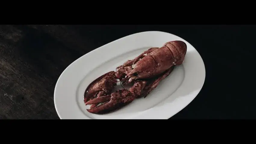 Brasserie Waalborre by De Metinas_Asse_slider_image_2