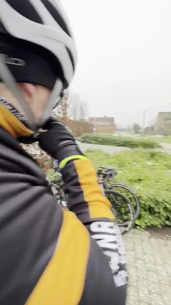 Kathleen Nuyts_Koningsbos 