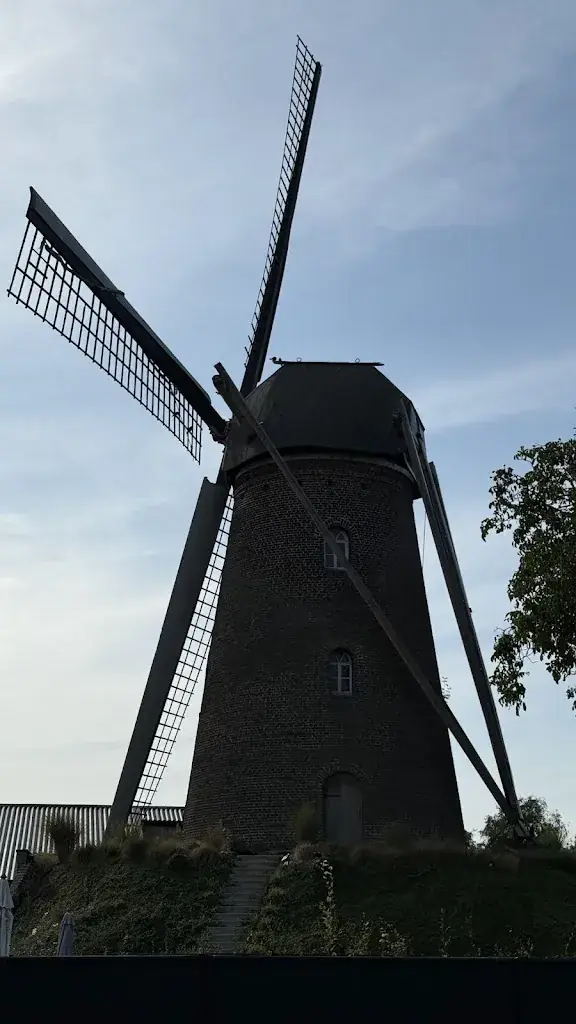 Jozsef Matrai_Ruby's Kinrooi_Kinrooi_reseña