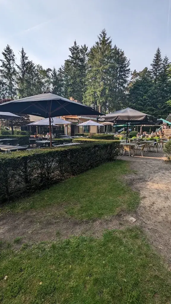 Eileen Alexander_De Bosduif bv_Kapellen_review