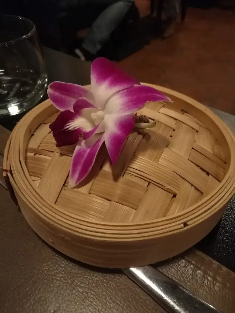 Maxine Plompen_Laan Thai_Kapellen_avis