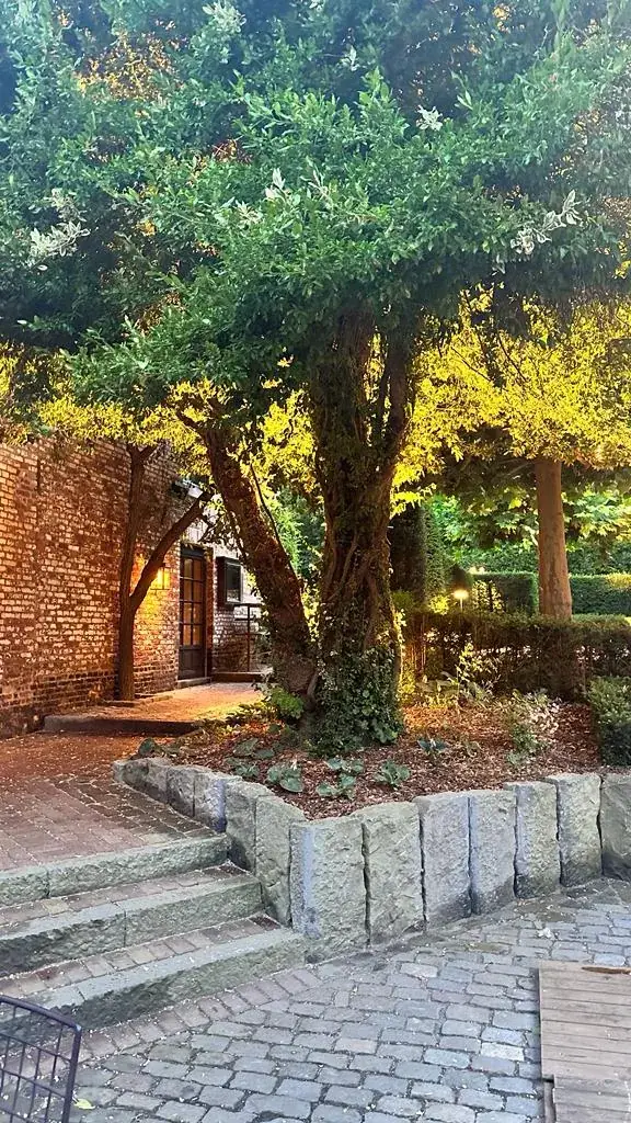 Isabelle Smeets_Domein Clos St.Denis_Hasselt_avis