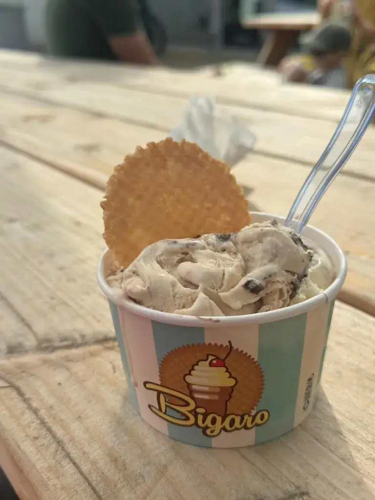 Martin Müller_Bigaro_Hasselt_Bewertung