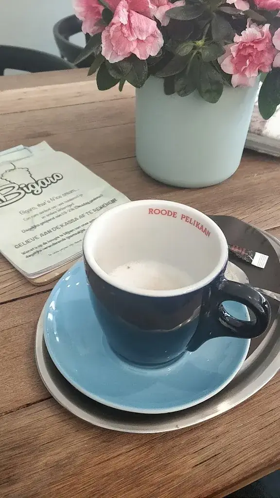 Kamer Ponce_Bigaro_Hasselt_Bewertung