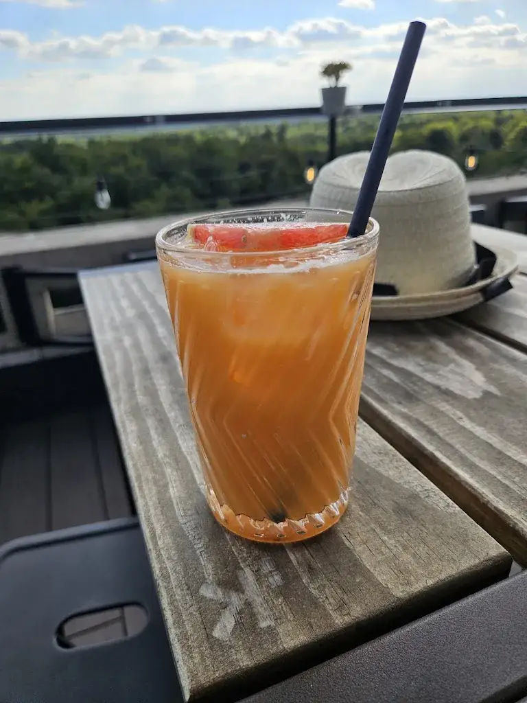 Uday Singh_Soko Rooftop_Kraainem_review