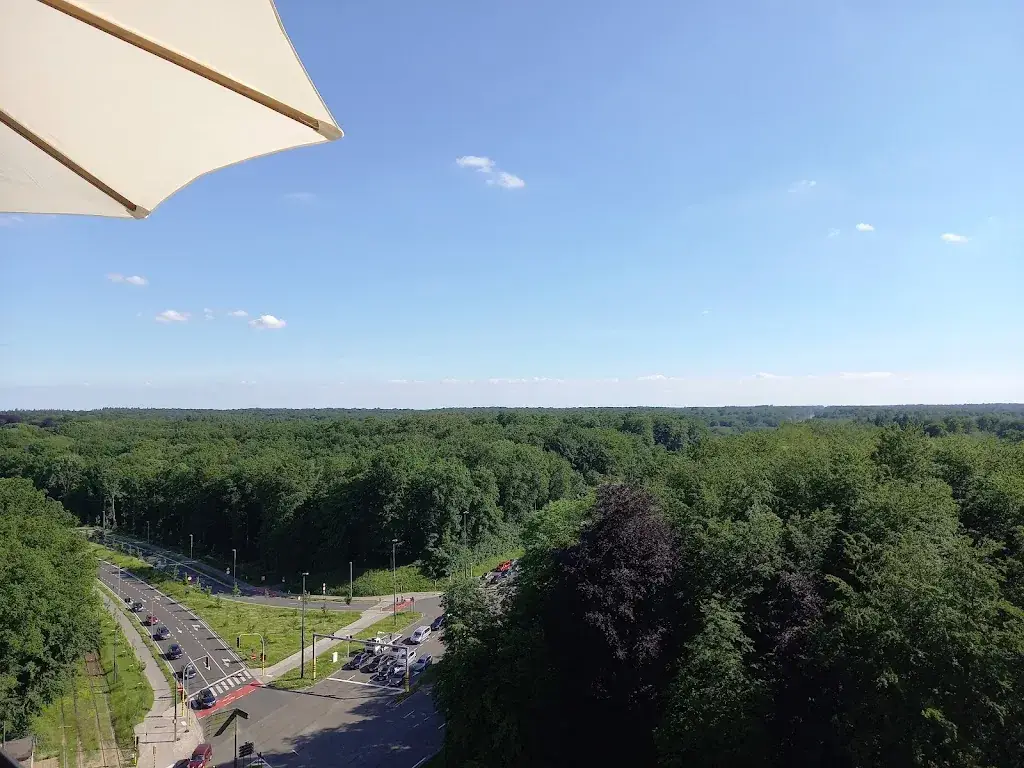 Henri DE COSTER_Crossroads Panoramic_Kraainem_review