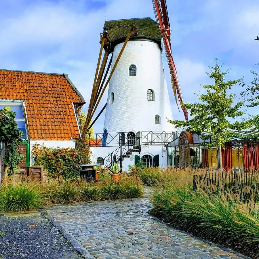 Vini Villatoro_Rysselende Molen_Ardooie_review