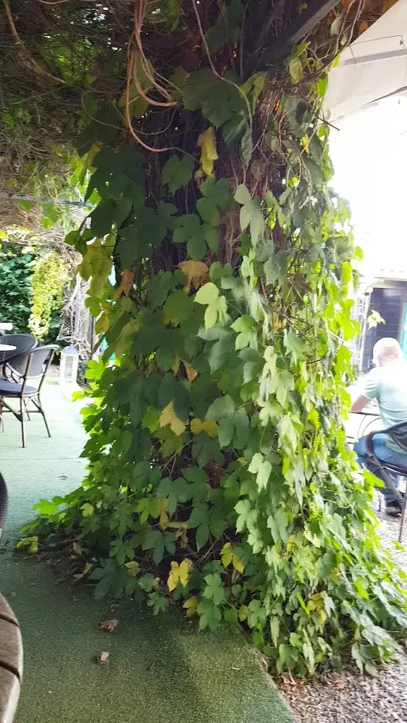 Rysselende Molen_Ardooie_slider_image_2