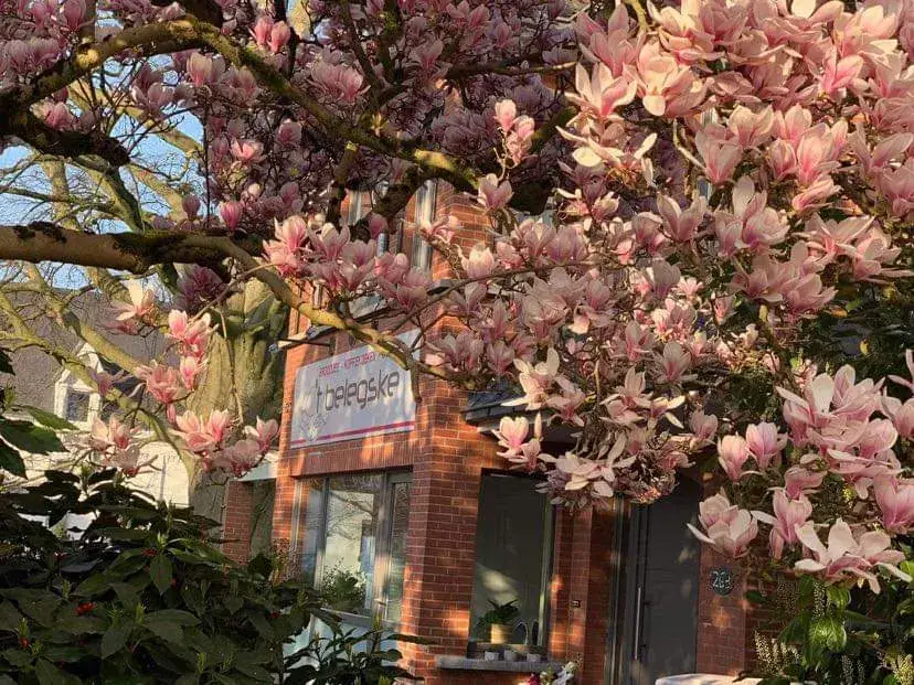 't Belegske_Kortenberg_slider_image_2