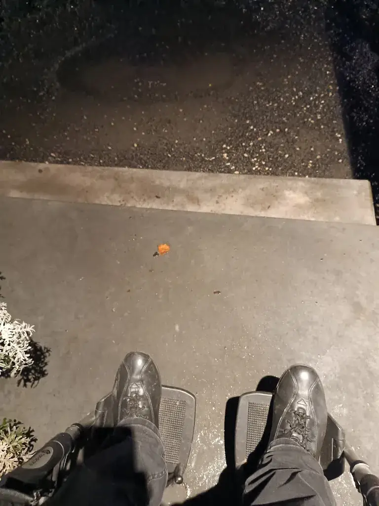 Hilde_Polder Noord_Beveren-Kruibeke-Zwijndrecht_review