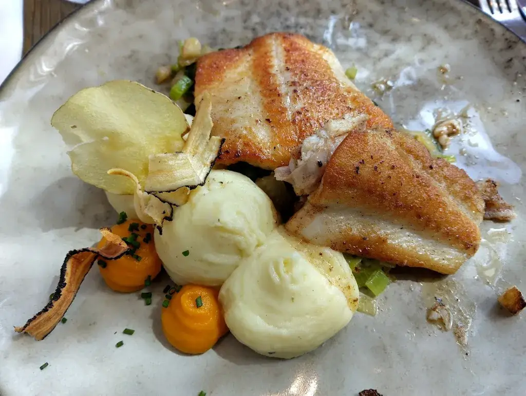 Cinci_Akoté_Koksijde_review