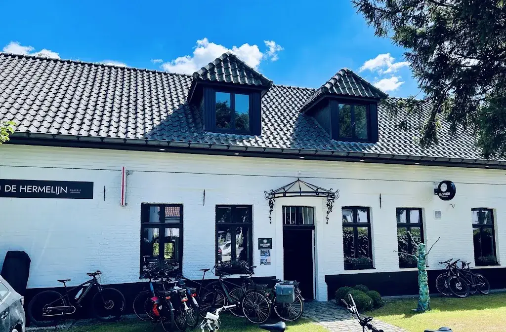 Frank Vvk_De Hermelijn, Restaurant - Kunst - Wijn _Kruisem_review