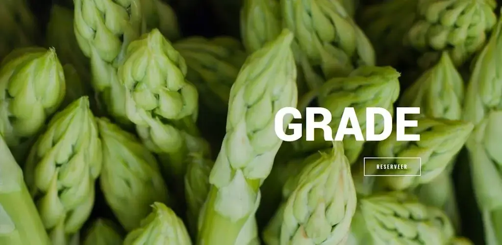 GRADE_Gent_slider_image_3