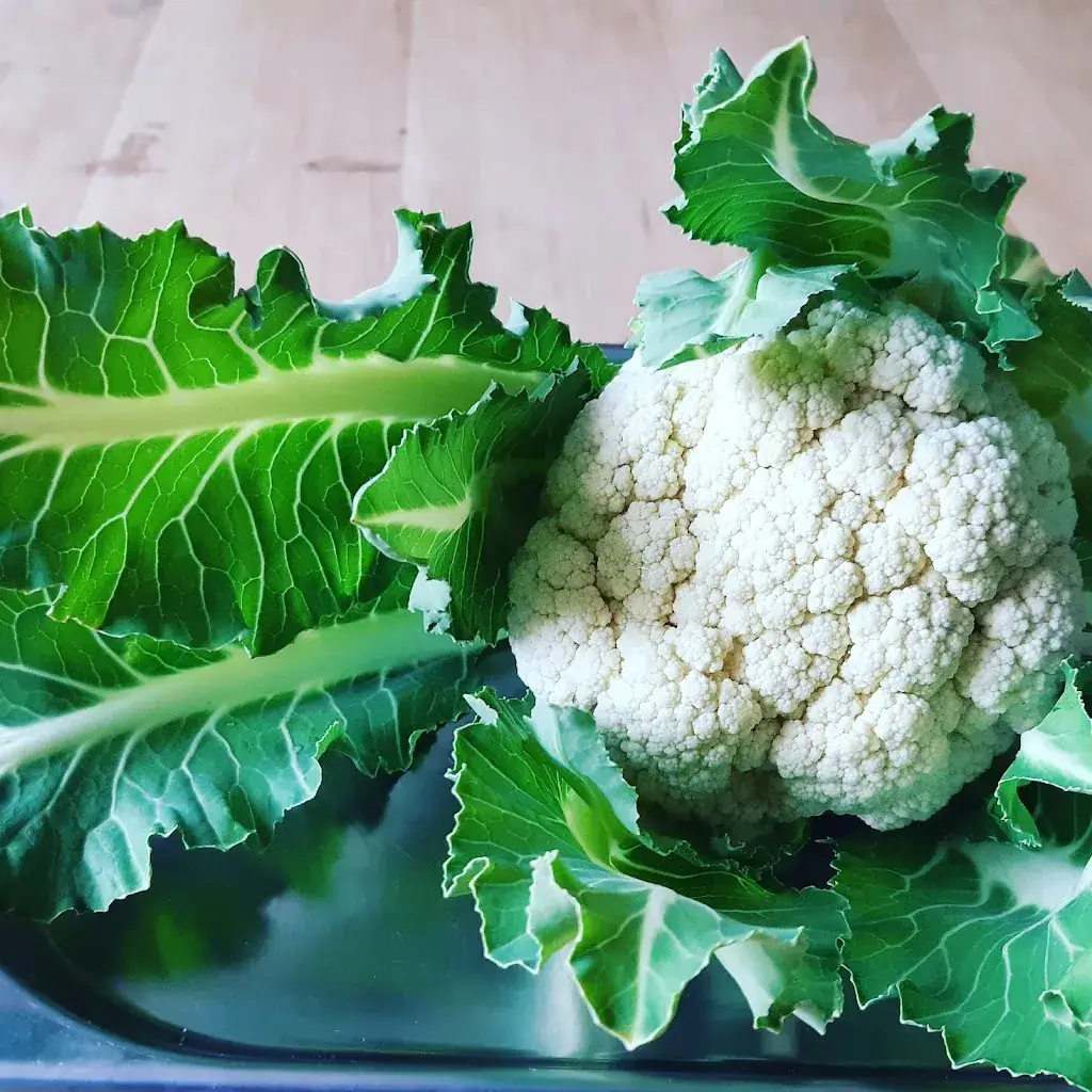 Flynn's_Gent_slider_image_1