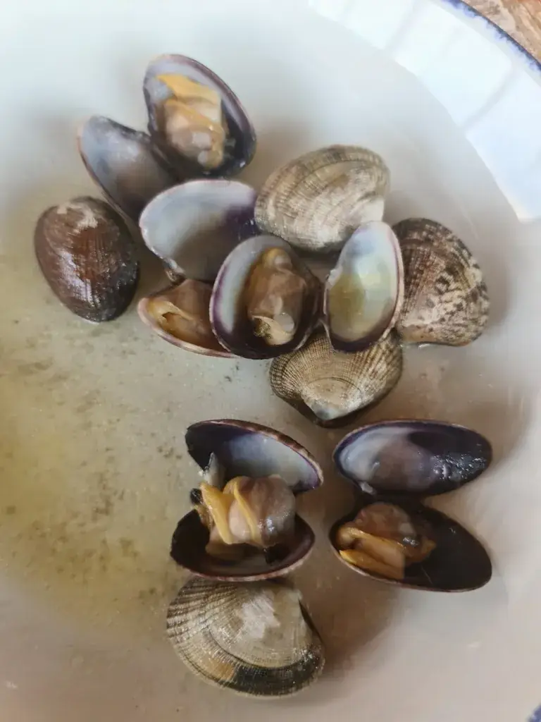 Menü_Bar Bask_Gent_Bild_7