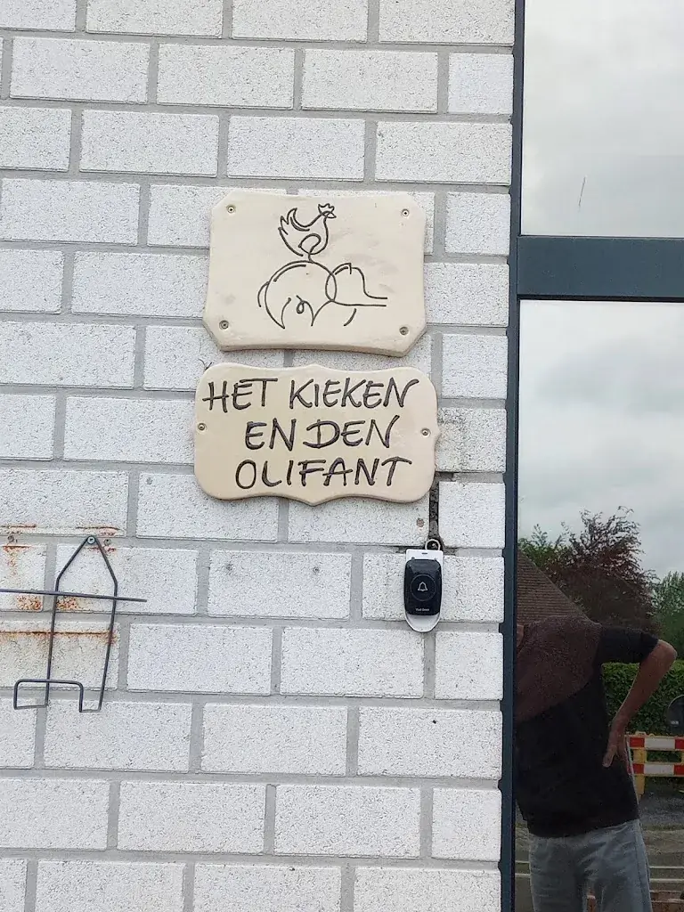 patsy de moor_Het Kieken en den Olifant_Lede_review