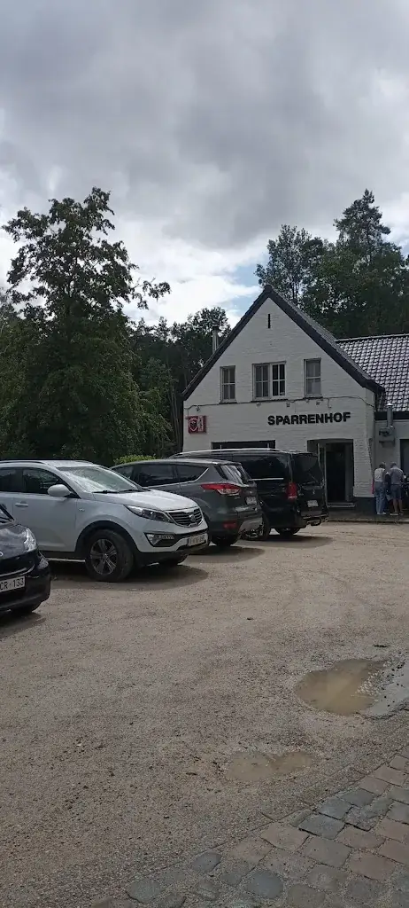 Светлана Светлана_Het Sparrenhof_Lede_review