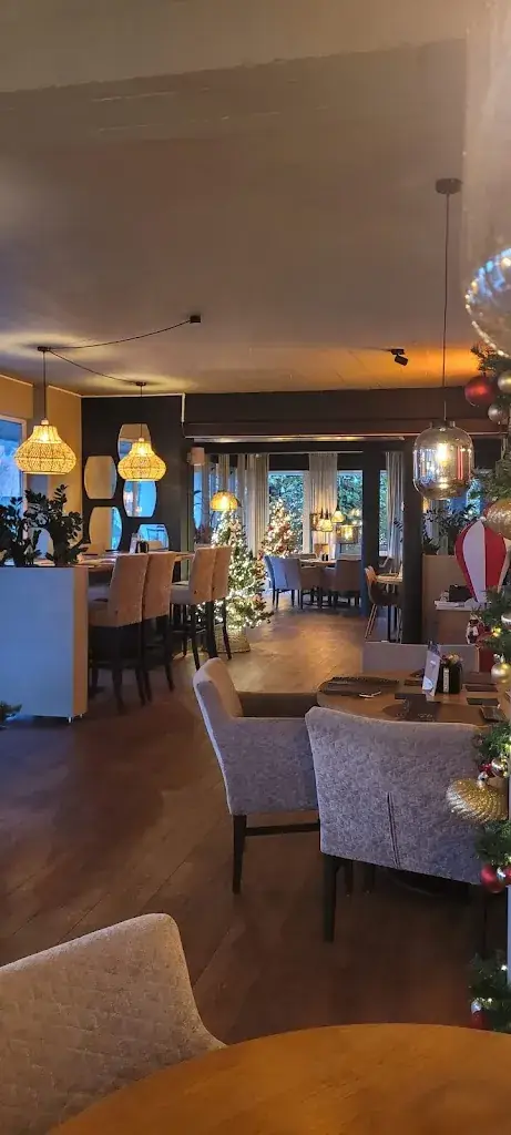 Ogan Cihan Öcal_Brasserie Brassa_Lanaken_avis