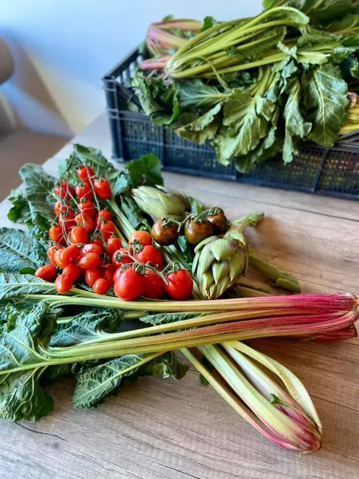 Spaghetti Linkebeek_Linkebeek_slider_image_3