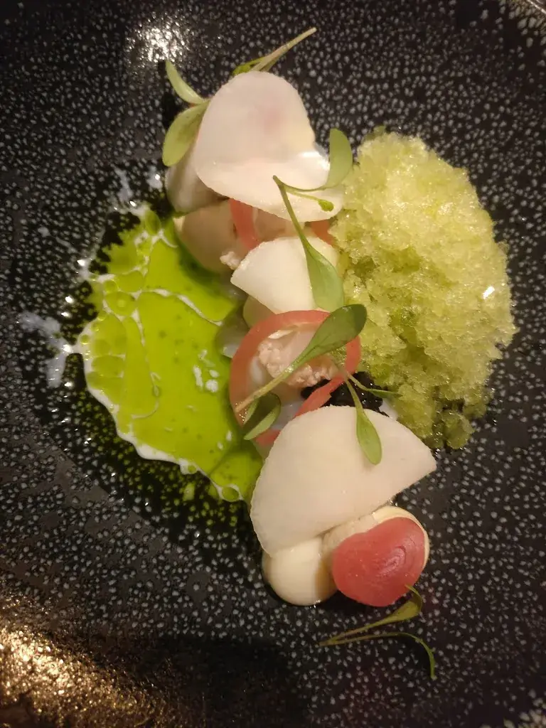 Michiel Ginneberge_VOS restaurant_Lokeren_review
