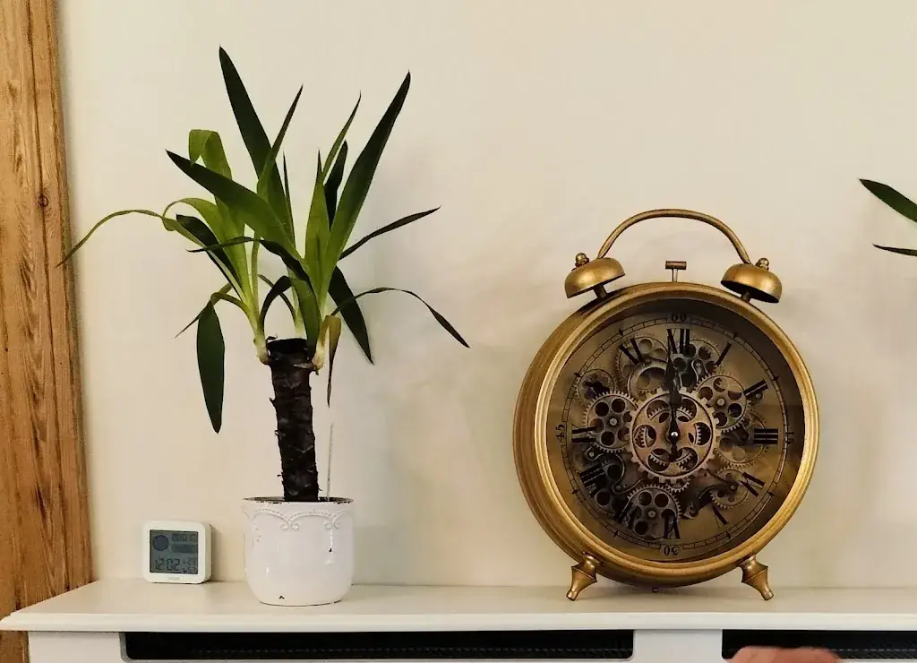 Domi8530_Huys54_Lichtervelde_review