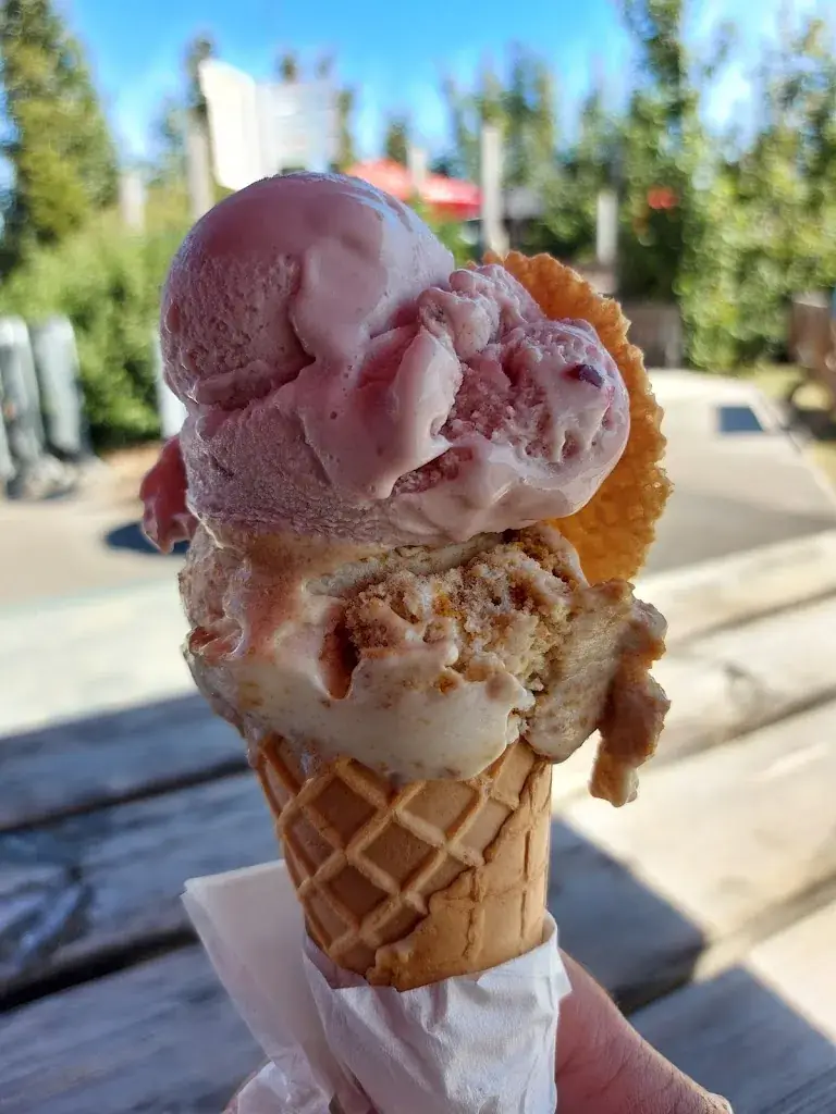 Menu_De Bossneppe_Lichtervelde_image_8