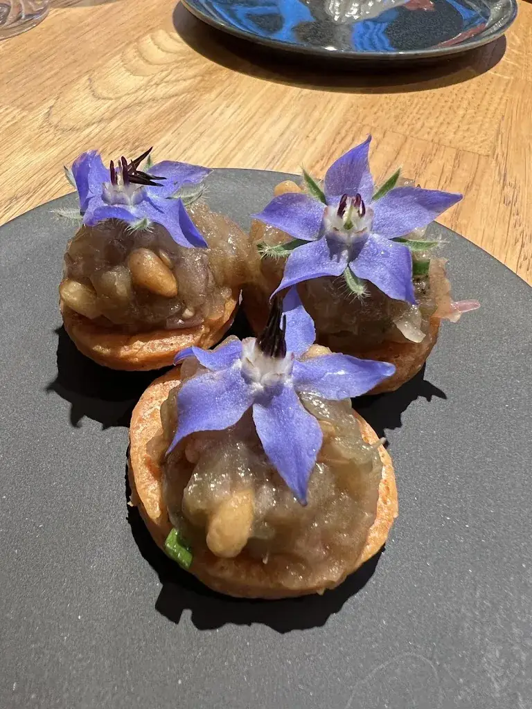 Kristof_bassud_Torhout_reseña