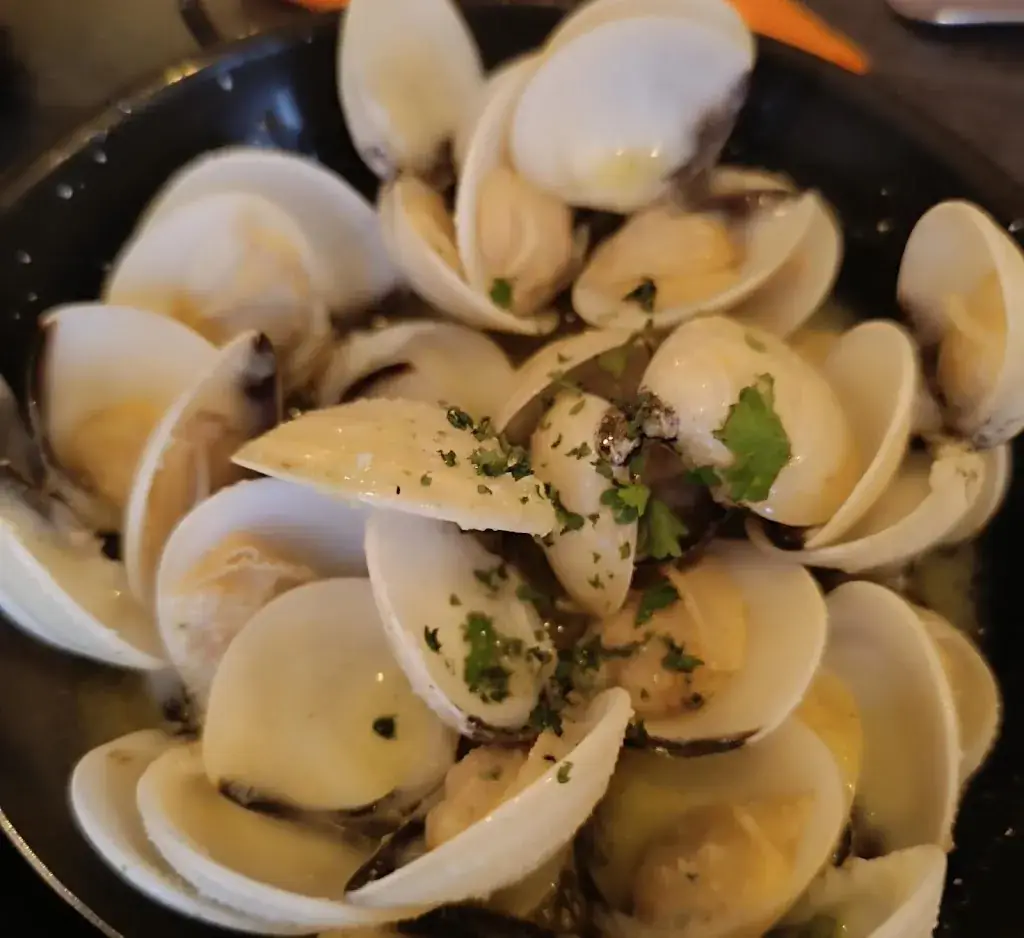 kamonchamok Wongyai_Pura Vista_Londerzeel_review