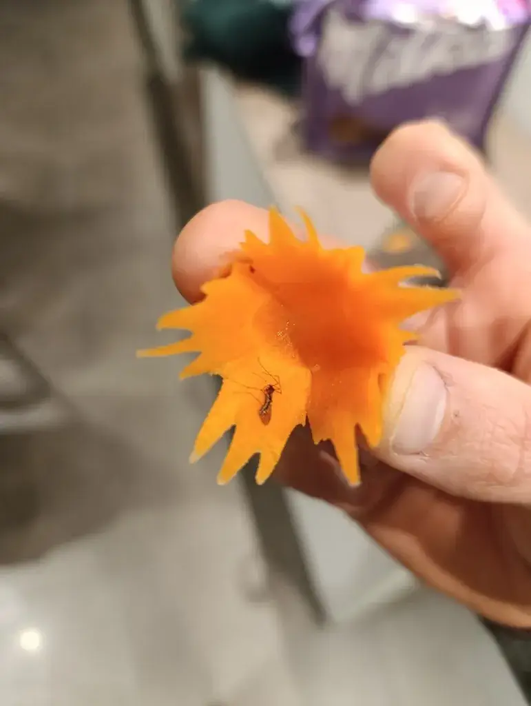 gregory karnier_Ban Thai Cuisine Take Away_Avelgem_avis