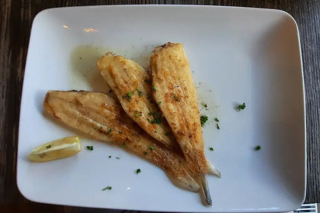 Menu_Tasse Tout_Maldegem_imagen_7