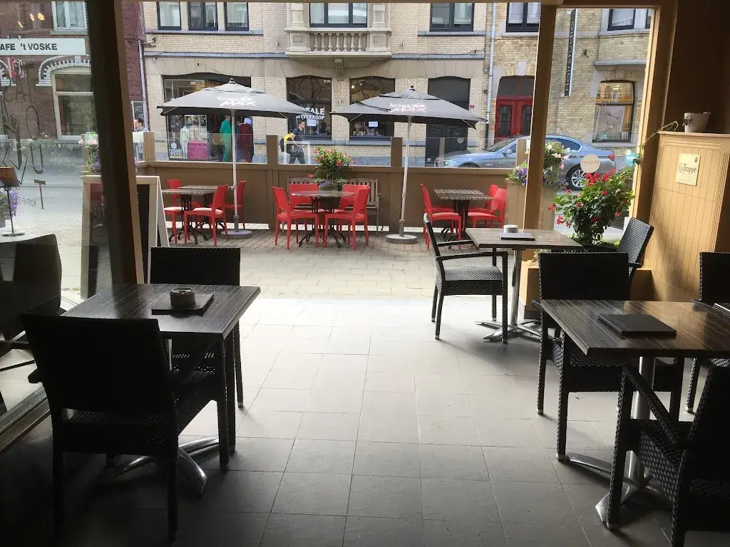 Tasse Tout_Maldegem_slider_image_3